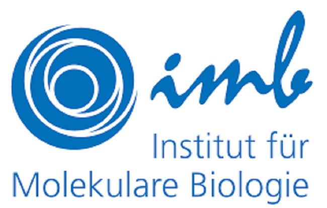 Стипендије за докторске студије Института молекуларне биологије у Мајнцу (Немачка)
