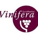 Vinifera Erasmus Mundus стипендије за мастер студије у области винарства и виноградарства